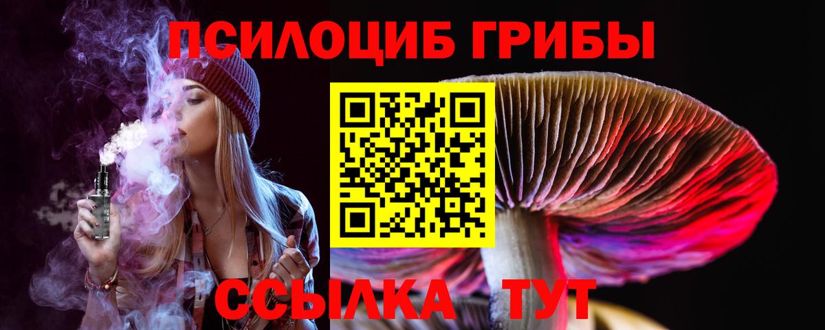 Красногорск  Псилоцибиновые грибы прущие грибы  Вход с VPN 